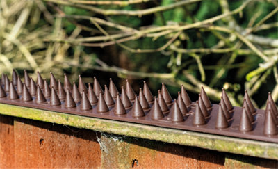 Cat deterrent cheap fence spikes