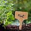 10 T-Type Wooden Bamboo Plant Labels With Pencil Garden Pot Markers 10cm