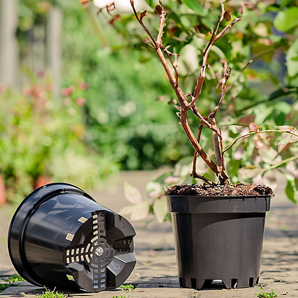 10 x 7.5L Round Black Plant Pots For Growing Garden Plant 10 x 7.5L Round Black Plant Pots For Growing Garden Plant