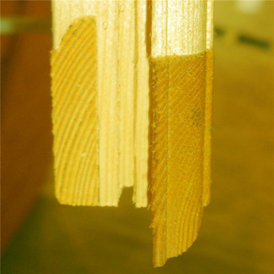10 x 7 Tongue and Groove Apex Workshop - 6