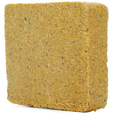 10 x SQUAWK Worm & Insect Suet Fat Blocks - High Energy Wild Bird Food Garden Birds Protein Treats
