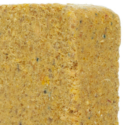 10 x SQUAWK Worm & Insect Suet Fat Blocks - High Energy Wild Bird Food Garden Birds Protein Treats