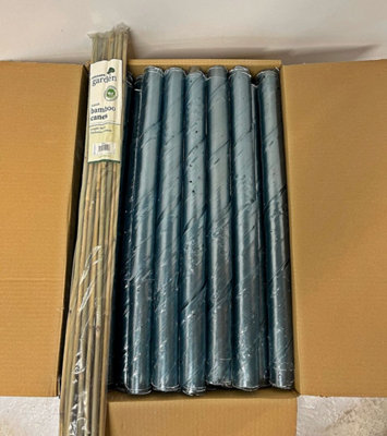 100 Clear Spiral Tree Guards with Canes - 60cm x 38mm