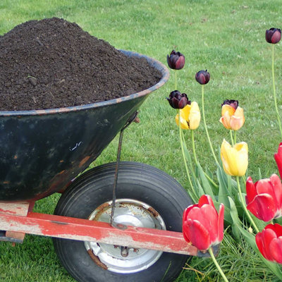 100% Natural Fertile Safe Soil Conditioner Plant Garden Landscaping Top Soil & Organic Compost Mix Dumpy Bag