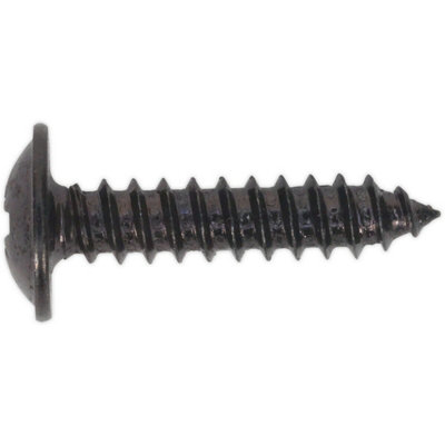 100 PACK 4.2 x 19mm Self Tapping Black Screw - Flanged Pozi Head ...