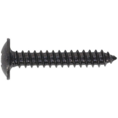100 PACK 4.2 x 25mm Self Tapping Black Screw - Flanged Pozi Head - Fixings Screw