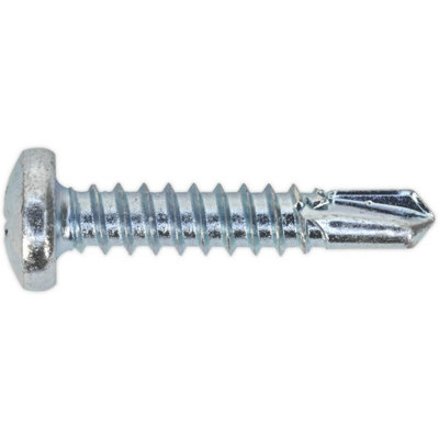 100 PACK 4.8 x 25mm Self Drilling Phillips Pan Head Screw - Zinc Plated ...