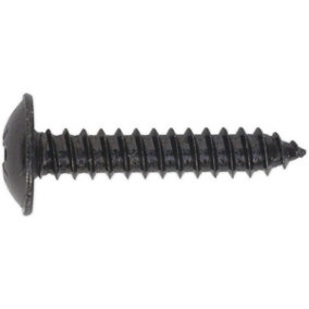 100 PACK 4.8 x 25mm Self Tapping Black Screw - Flanged Pozi Head - Fixings Screw