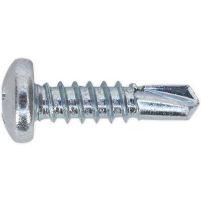 100 Pack of 4.8 x 19mm Self Drilling Phillips Pan Head Screws - Zinc Plated Fasteners