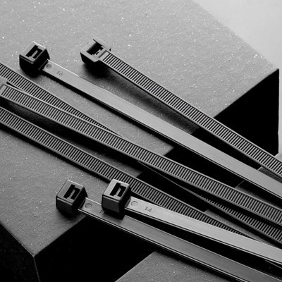 100 Pack of Black Cable Ties