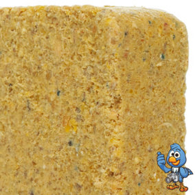 100 x BusyBeaks Worm & Insect Suet Fat Blocks - Premium Grade High Protein Bird Food For Wild Birds