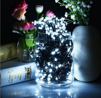 1000 Bright White LED's Black Cable Connectable Outdoor Garden Party Christmas Waterproof Cluster Lights (48ft) Low Voltage Plug