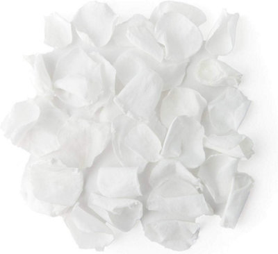 KAQ 200pcs/400pcs/600pcs Silk Rose Petals Ivory Flower Petals for