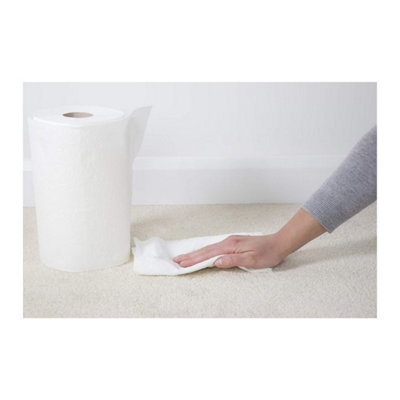1001 Pet Stain Remover 500ml (Pack of 12) - 5