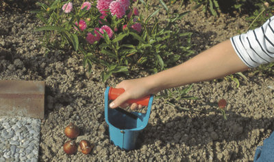 A person using a metal bulb planter to plant a bulb in the soil of a flowerbed.