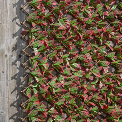 100cm x 200cm Artificial Fence Garden Trellis Privacy Screening Indoor Outdoor Wall Panel - Red Beech Leaf