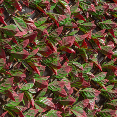 100cm x 200cm Artificial Fence Garden Trellis Privacy Screening Indoor Outdoor Wall Panel - Red Beech Leaf - 6