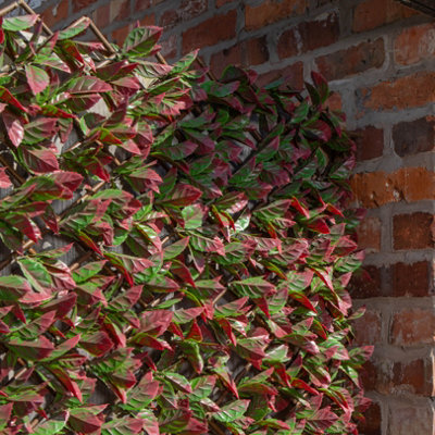 100cm x 200cm Artificial Fence Garden Trellis Privacy Screening Indoor Outdoor Wall Panel - Red Beech Leaf - 7