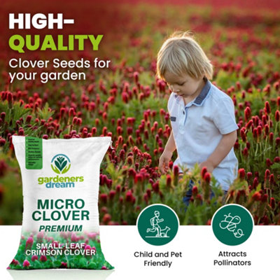 100g Micro Crimson Clover Grass Seed Eco-Friendly Drought Resistant Lawn Cover
