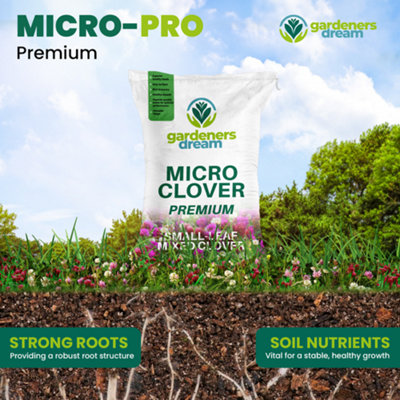 100g Micro Mixed Clover Grass Seed Eco-Friendly Drought Resistant Lawn Cover