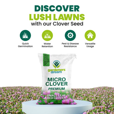 100g Micro Red Clover Grass Seed Eco-Friendly Drought Resistant Lawn Cover