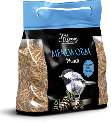 100g Wild Garden Bird Mealworm Munch DIY at B&Q