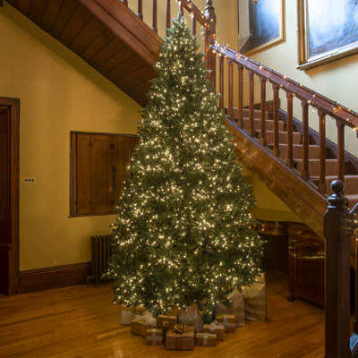 10ft Windsor Fir Artificial PE Christmas Tree