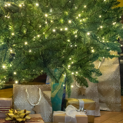 10ft Windsor Fir Artificial PE Christmas Tree