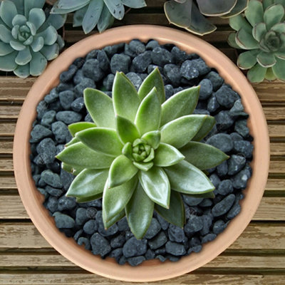 10kg Black Coloured Plant Pot Garden Gravel - Premium Garden Stones for Decoration