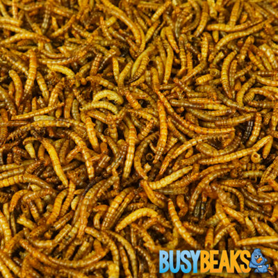 10kg BusyBeaks Dried Mealworms - High Quality Wild Bird Food Treats For Garden Birds