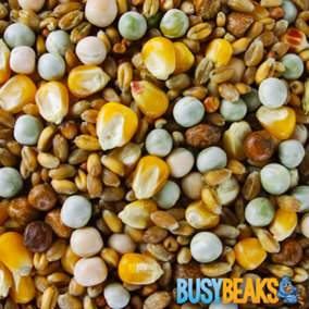 10kg BusyBeaks Four Seasons Pigeon Corn - Premium Grade Wild Bird Food Seed Mixture