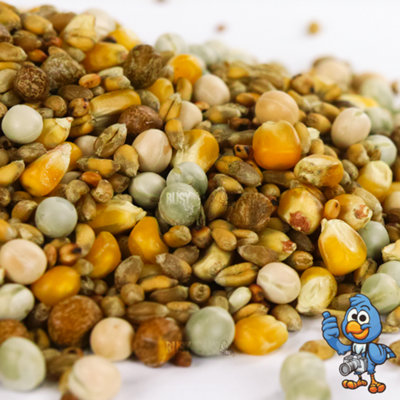 10kg BusyBeaks Four Seasons Pigeon Corn - Premium Grade Wild Bird Food Seed Mixture