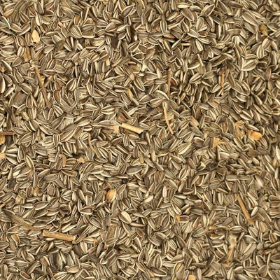 10kg Medium Striped Sunflower Seed - Sunflower Bird Food/Feed for Wild ...