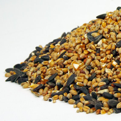 10kg SQUAWK All Seasons Wild Bird Food Mix - Year Round Quality Garden Feed