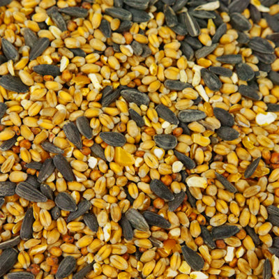 10kg SQUAWK All Seasons Wild Bird Food Mix - Year Round Quality Garden Feed - 3