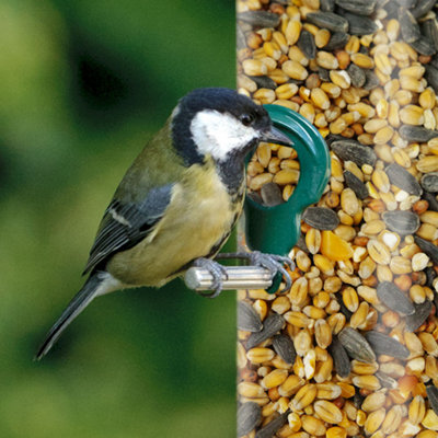 10kg SQUAWK All Seasons Wild Bird Food Mix - Year Round Quality Garden Feed - 4