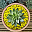 10kg yellow Coloured Plant Pot Garden Gravel - Premium Garden Stones for Decoration