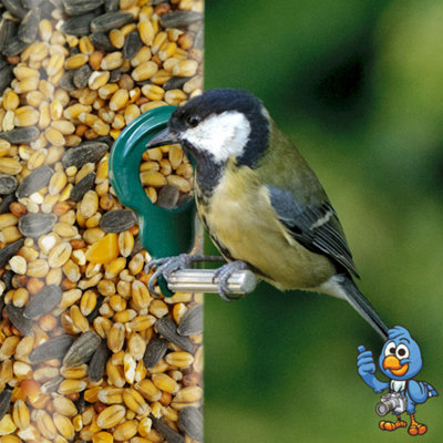 10L BusyBeaks Year Round Mixture - Nutritious Garden Bird Seed Food For ...