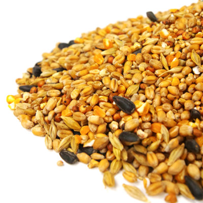 10L SQUAWK All Seasons Wild Bird Food Mix - Year Round Quality Garden Feed - 4