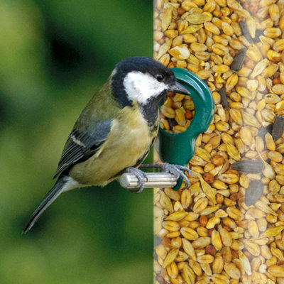 10L SQUAWK All Seasons Wild Bird Food Mix - Year Round Quality Garden Feed - 5