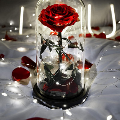 10M Fairy String Lights - 4