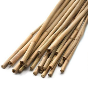 10pc 150cm Heavy Duty Bamboo Canes Plant Support - Strong, Durable and Long Lasting