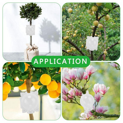 10PCS Portable Plant Root Growing Box with Secure Lock for Easy ...