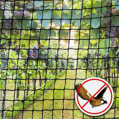 10x2mHeavy Duty Anti Bird Netting Mesh Net Garden Fruit Crop Cage ...