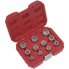 11 Piece Bolt Extractor Socket Set - 3/8" Sq Drive - Drop Forged Sockets - Case