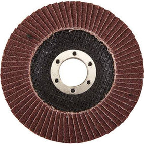 115mm 80 Grit Aluminium Oxide Sanding Flap Disc Angle Grinder Wood & Metal File