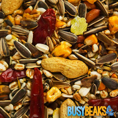 12.5kg BusyBeaks African Grey Parrot Food - High Energy Bird Nuts Seeds Oats Feed Mix