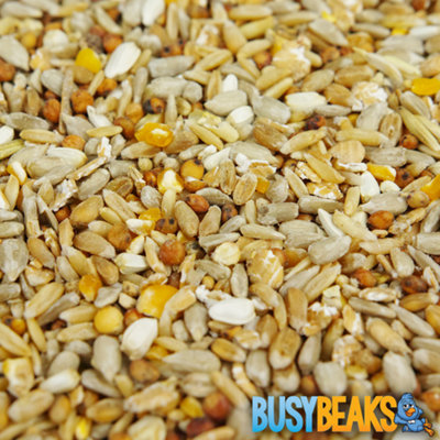 12.5kg BusyBeaks No Mess Seed Mix - Wild Bird Feed Premium Quality ...