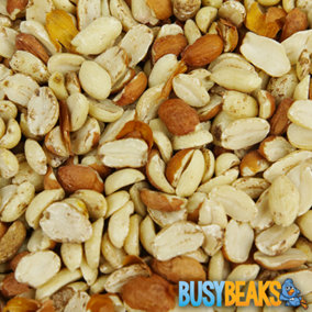 12.5kg BusyBeaks Split Peanuts - Fresh Quality Wild Birds Protein Garden Birds Food Mix