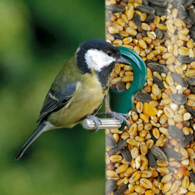12.5kg SQUAWK All Seasons Wild Bird Food Mix - Year Round Quality Garden Feed